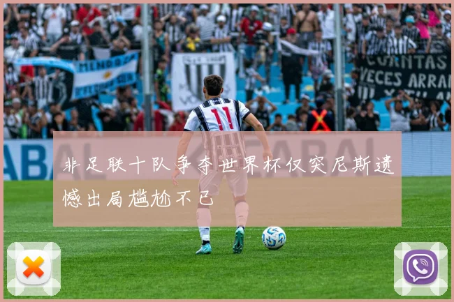 非足联十队争夺世界杯仅突尼斯遗憾出局尴尬不已